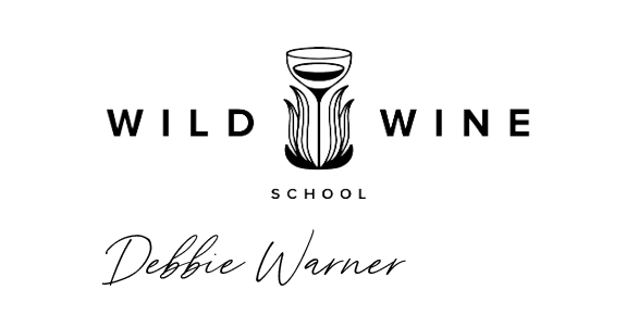 Logo for Wild Wine School with a stylized wine glass and tulip, featuring the text 'Wild Wine School' and 'Debbie Warner'.