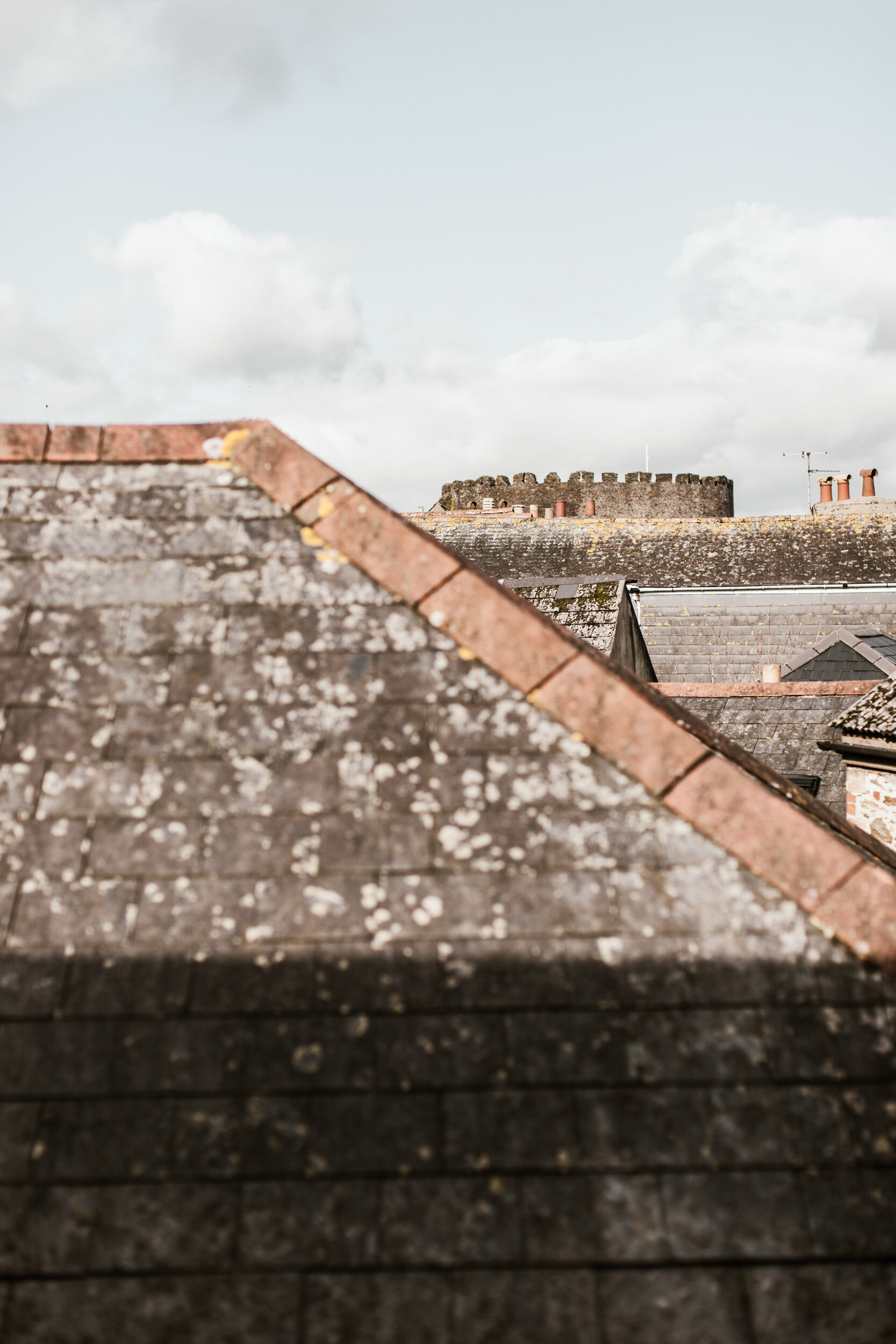 Close-up view of moss-covered rooftop shingles with a cloudy sky in the background.