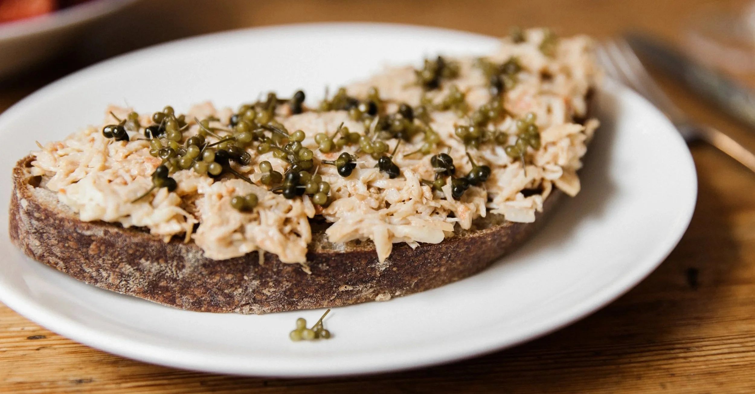 Open-faced bread topped with shredded chicken salad and green and black peppercorns on a white plate.