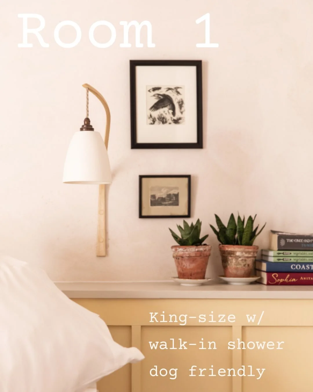 Nine consciously designed rooms: singles, kings, twins and super kings, plus extra beds in some for family stays. Two of which are dog-friendly, because we knew the dog was always coming too.

Every design decision in our rooms was scrutinised for it