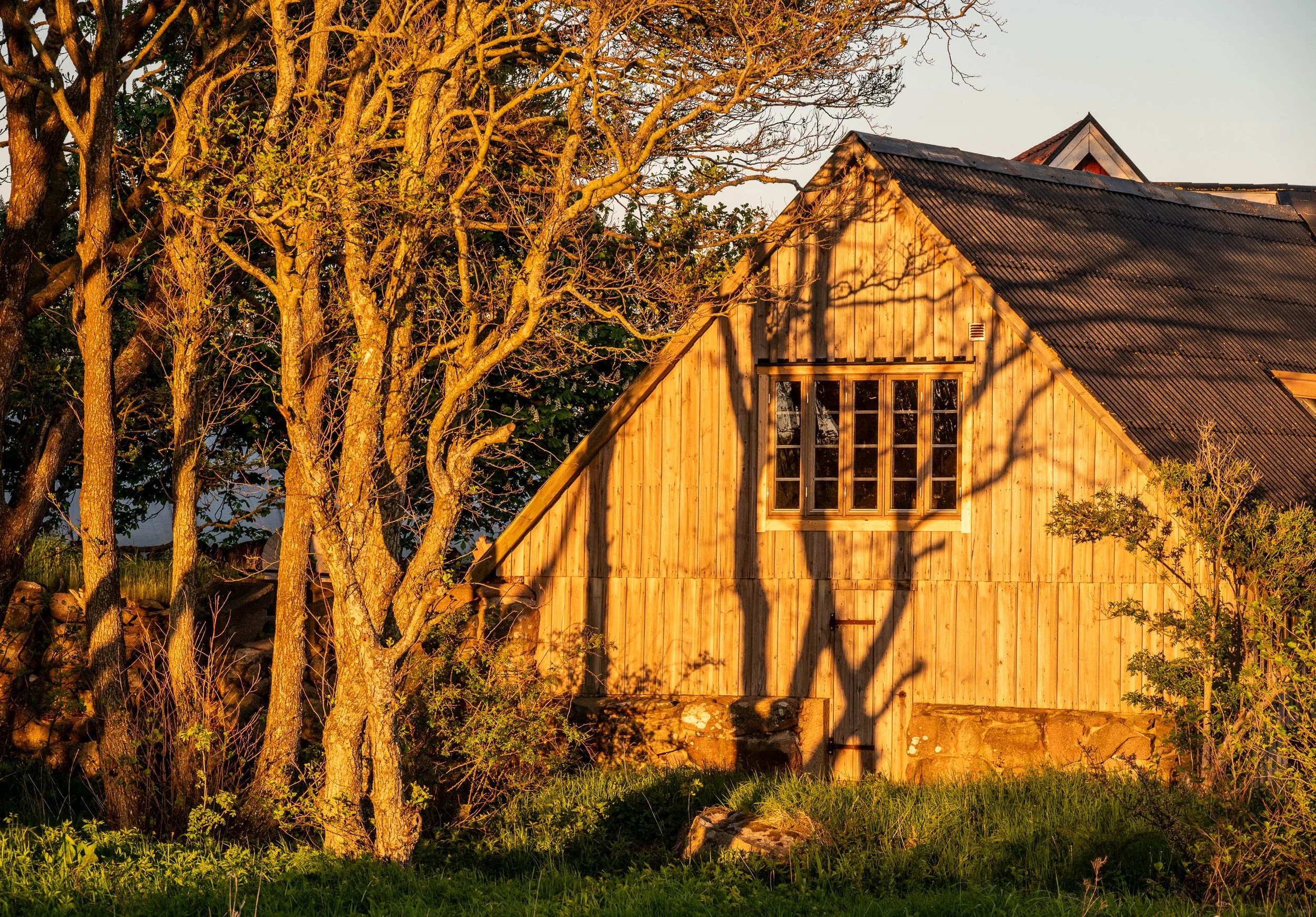 A rustic wooden house with a steep black metal roof, surrounded by trees, with shadows cast by the branches on the house during sunset.