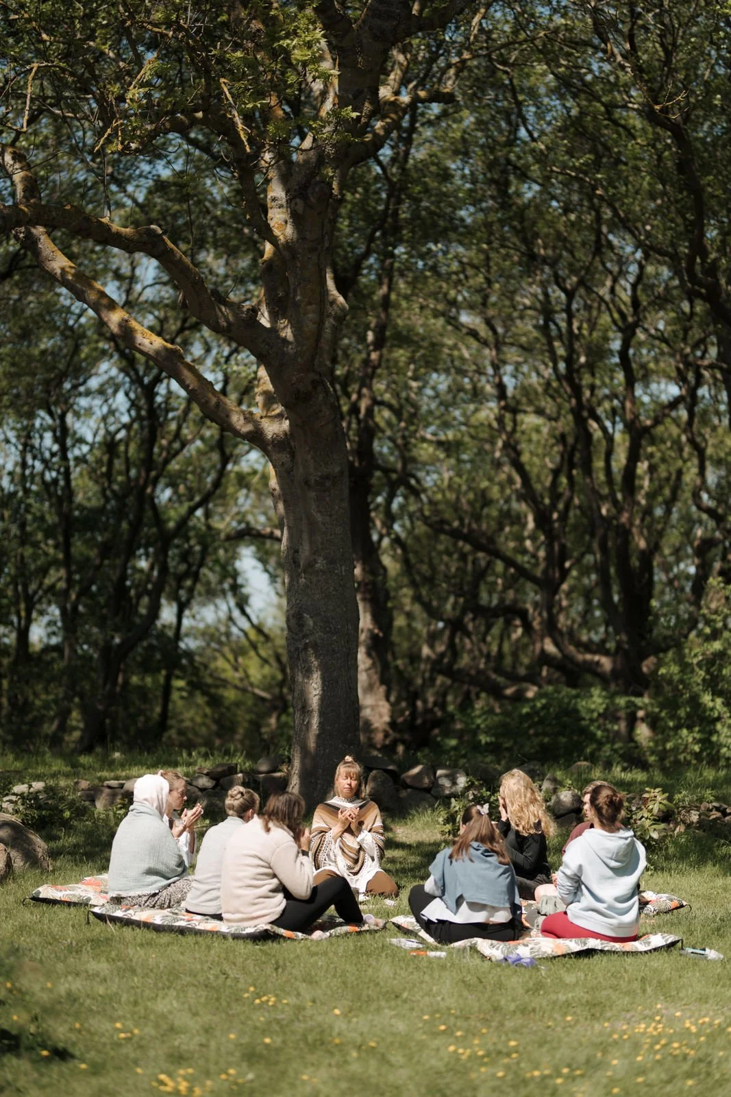 A group of people sitting on blankets in a circle under a large tree in a park, engaged in conversation and listening to a woman speak.