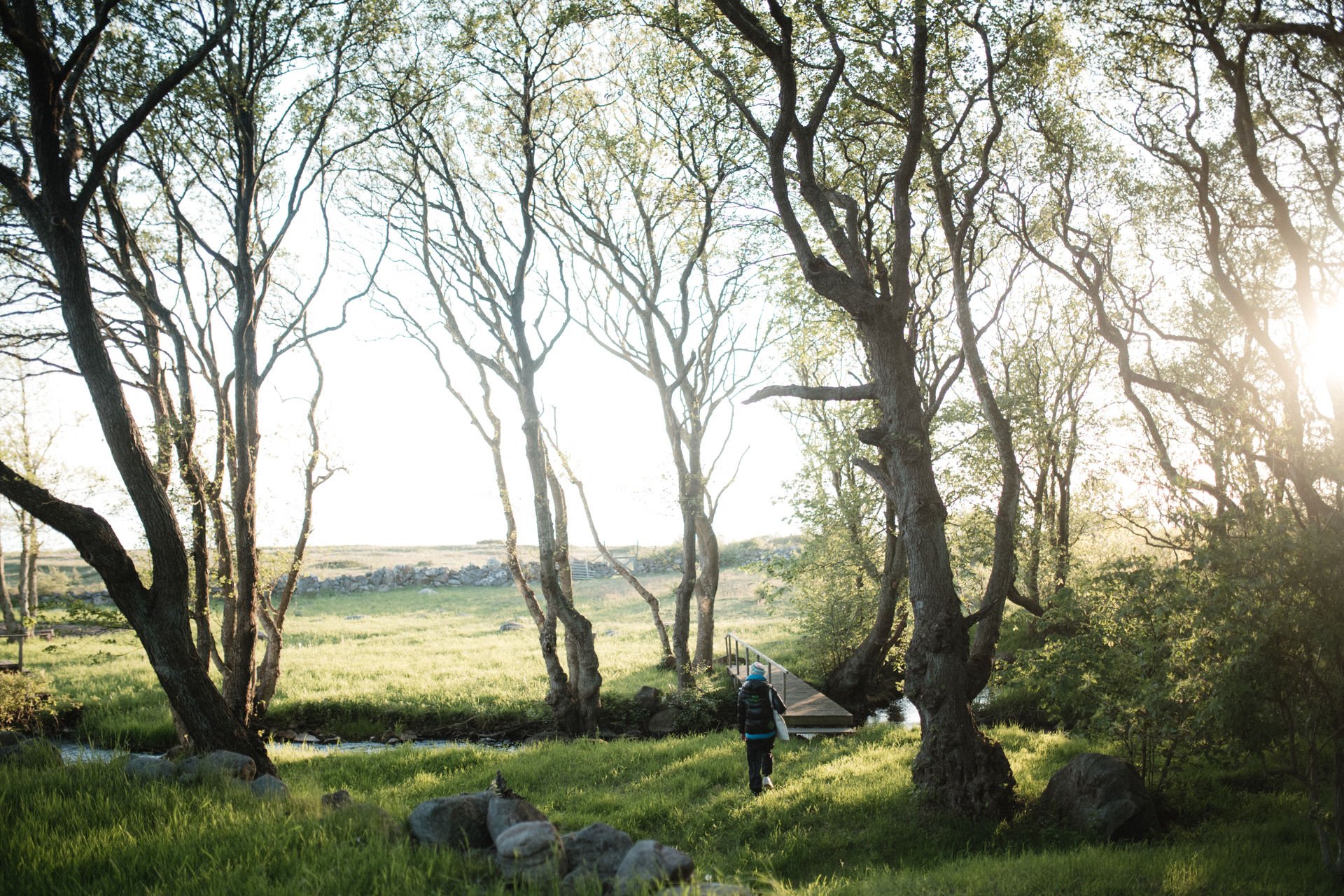 A person with a backpack walks across a wooden bridge over a small stream in a park with tall trees and grass during the daytime with sunlight shining through the leaves.