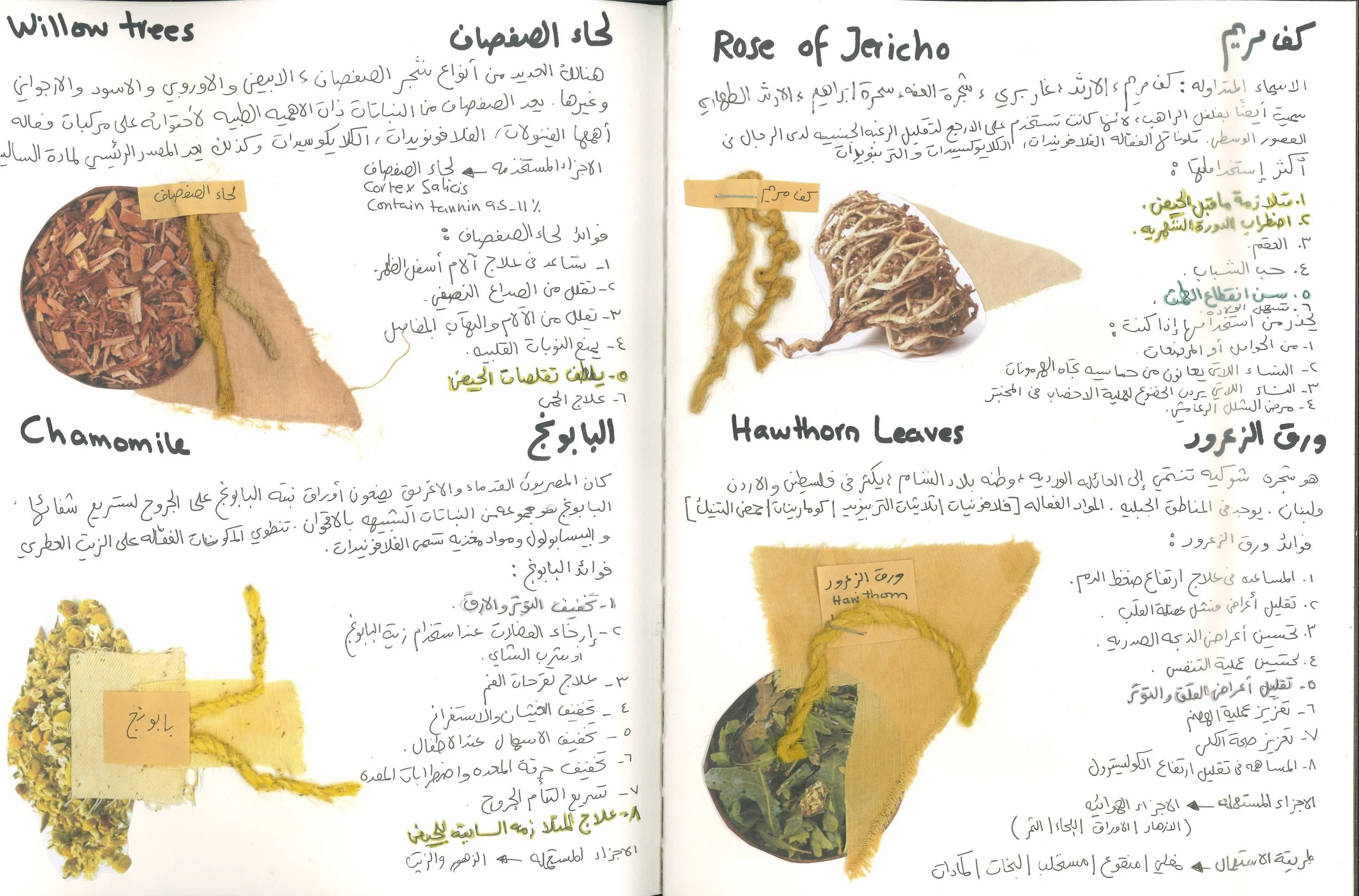 كتاب المعرفه-3.jpg
