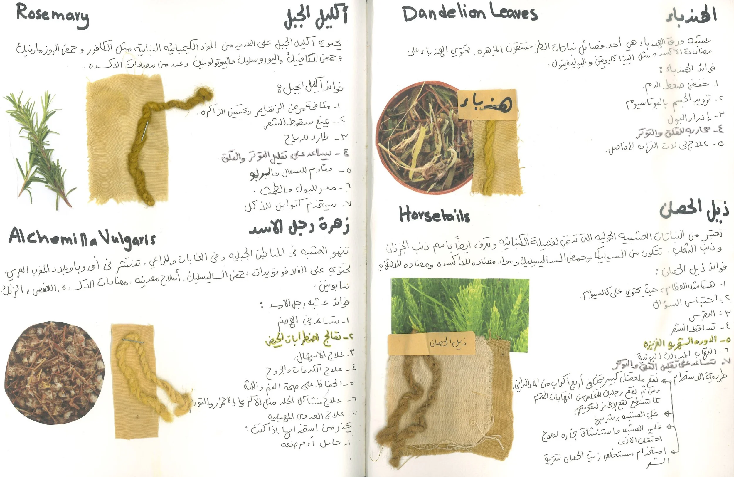 كتاب المعرفه-5.jpg
