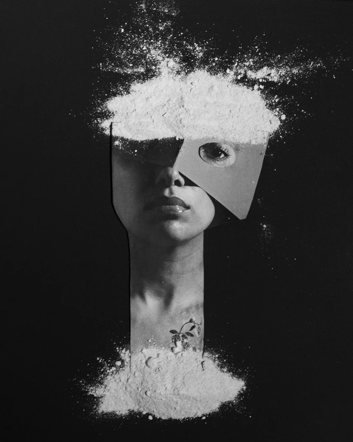 SelfStillLife-4.jpg