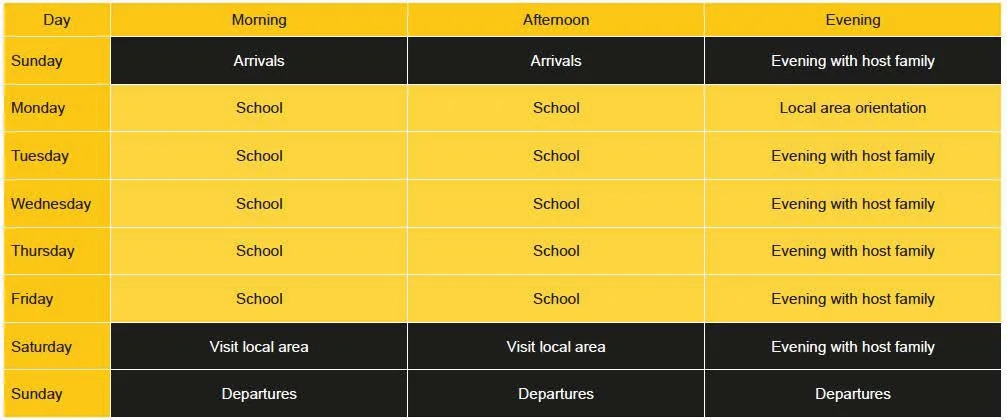 Weekly schedule grid with days of the week and activities: mornings for arrivals or visits, afternoons for school, and evenings for family time or departures, with specific notes for each day.