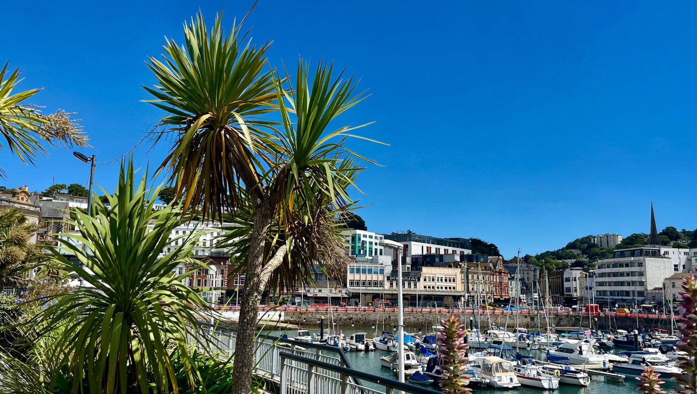 A marina with multiple docked boats and yachts, with a backdrop of colorful city buildings and hills under a clear blue sky, and some green tropical plants in the foreground.
