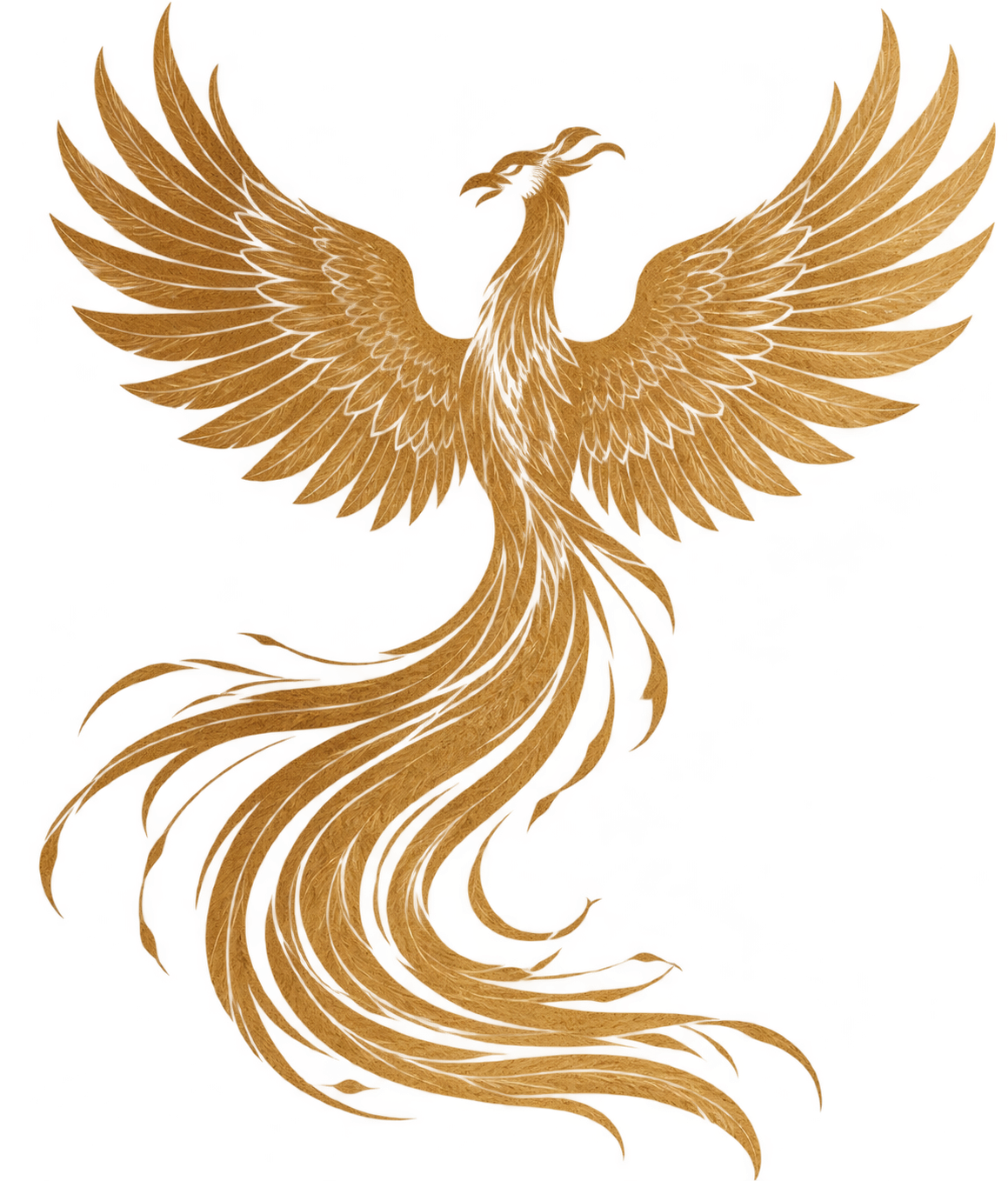 phoenixpilatesva.com