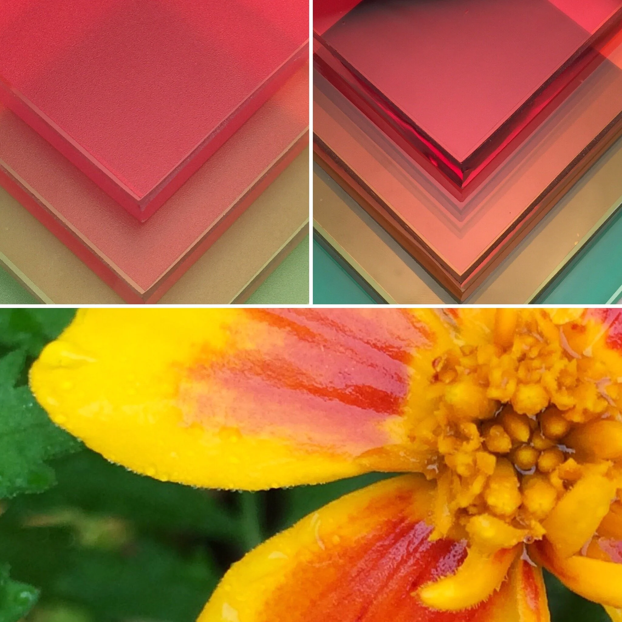 Nature, meet your Chroma. 