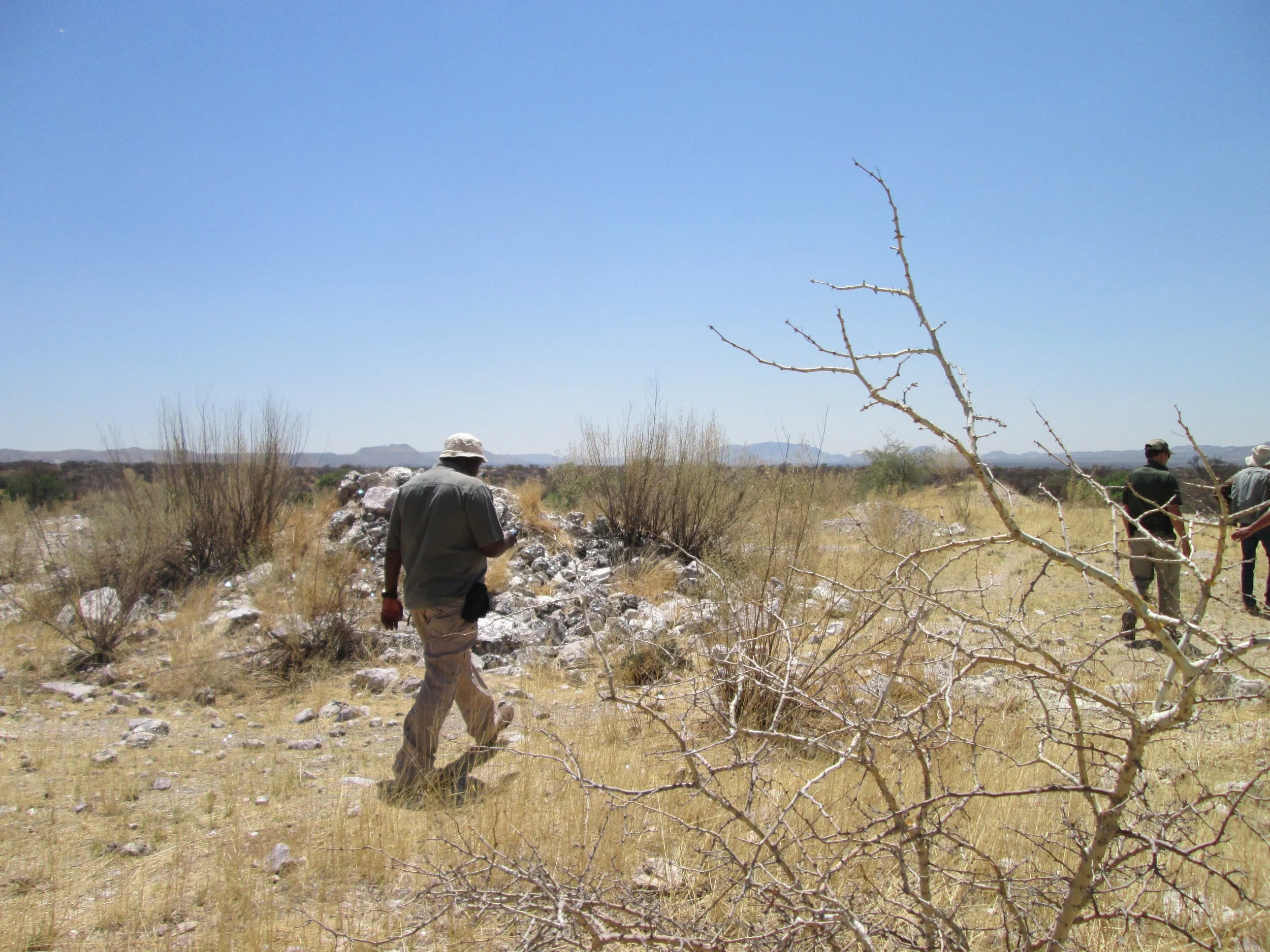 The Rubicon LCT pegmatite. Prof. Ambrose Walemba walking within the deposit, surronded by  open landscape with bushes and distant mountains under a clear blue sky. Karibibi, Namibia.