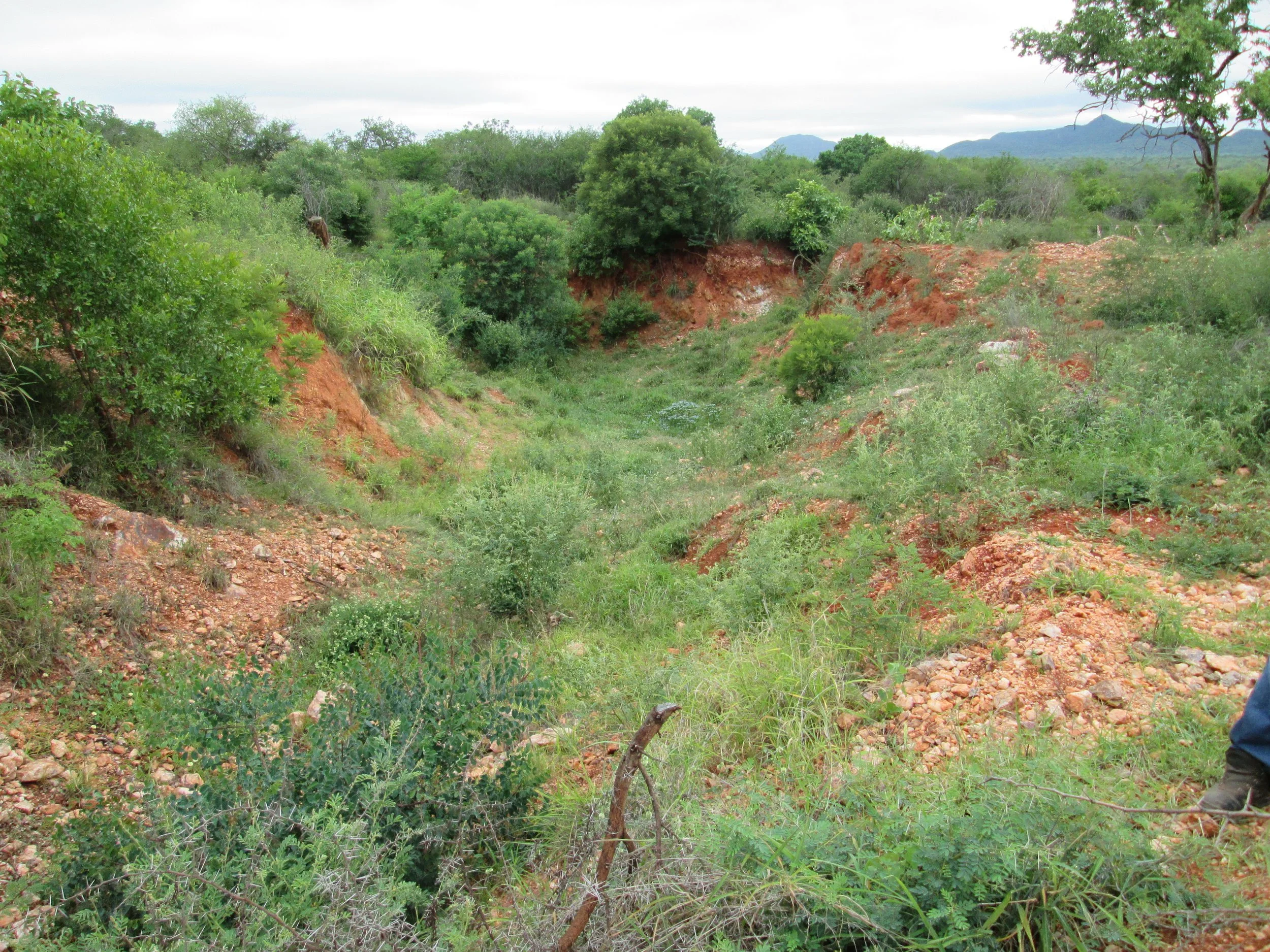 Rooiwater gold deposit. A trench  surrounded by a lush green landscape with various trees and bushes, some exposed red soil and rocky terrain, and mountains in the background under an overcast sky.