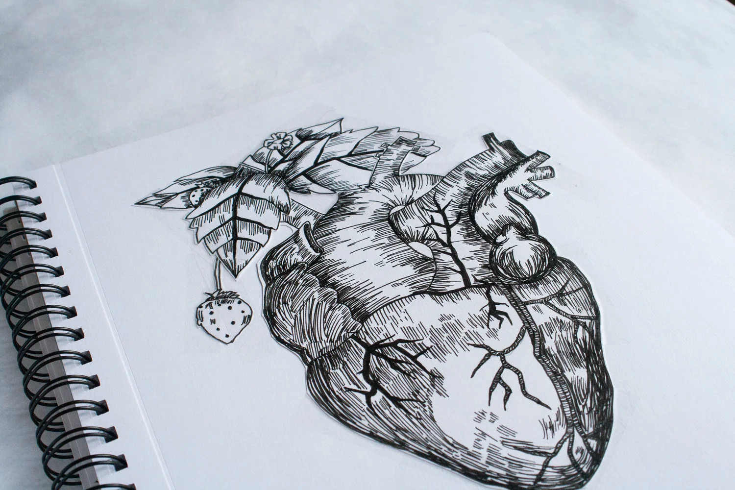 Heart Drawing