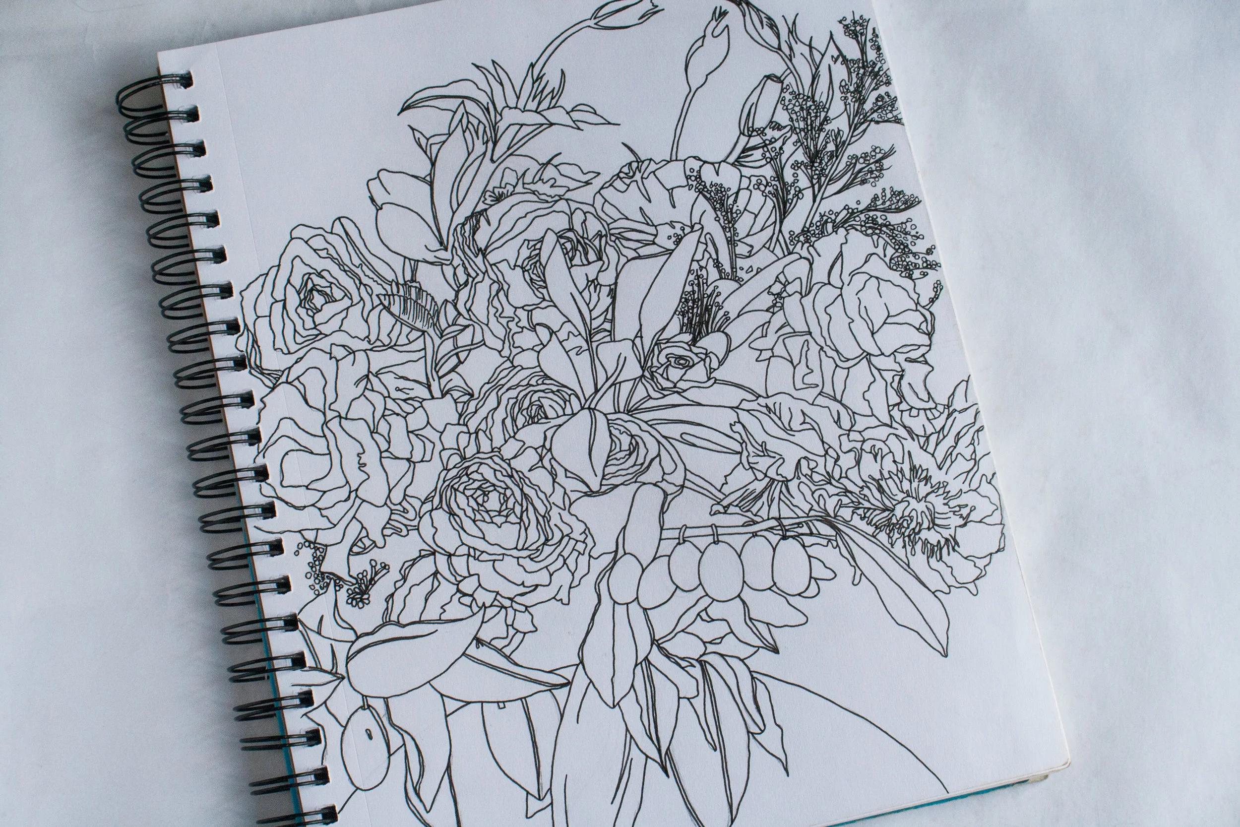 Drawing &amp; Illustration Work