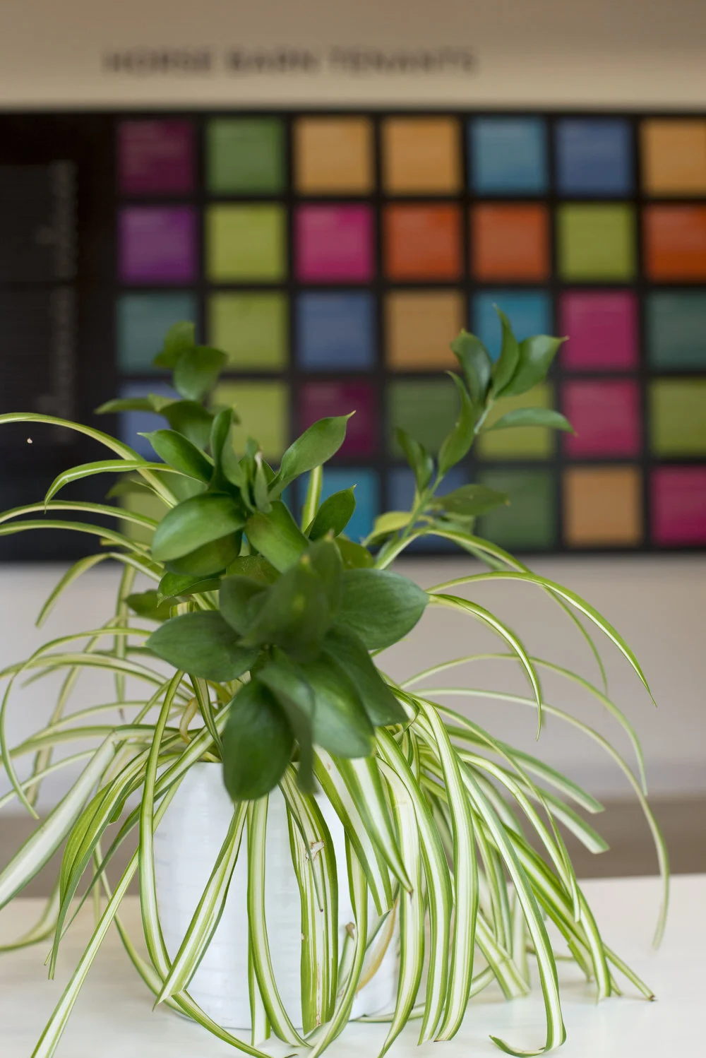 Real plants are hard to keep alive in a shared space, but the place needed greenery. Helped purchase furniture, bought these IKEA plants, and designed the signage displayed behind it—a directory of Posner Center tenants.