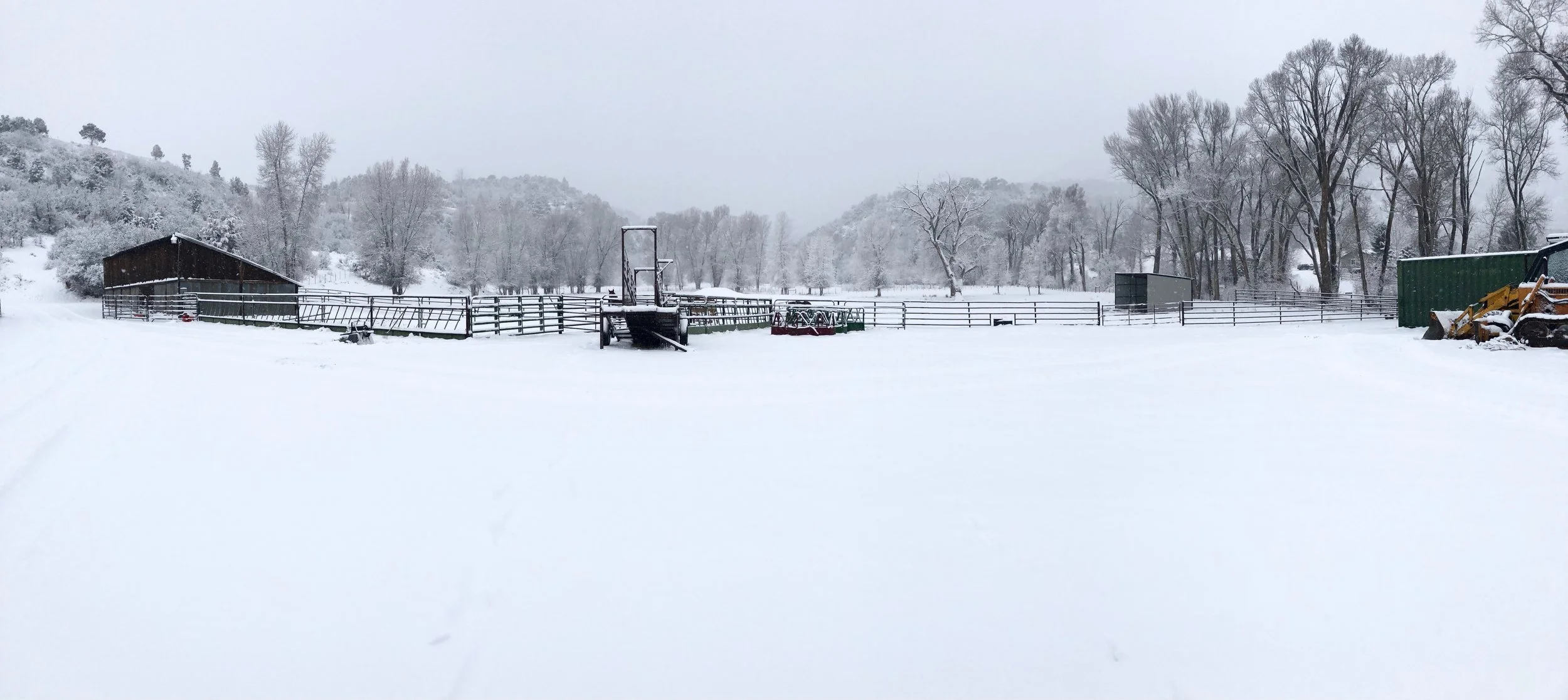 TGH Property in Snow