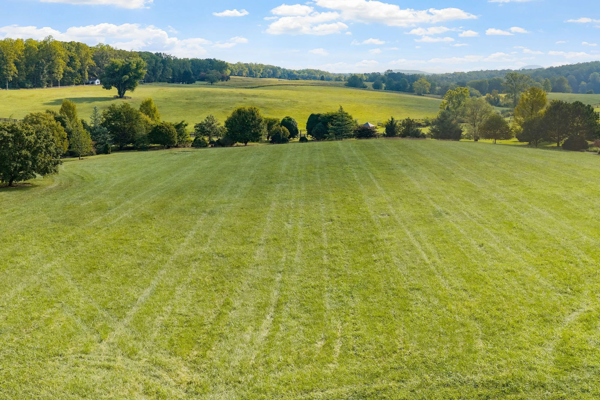WhiltonFarm-033.jpg