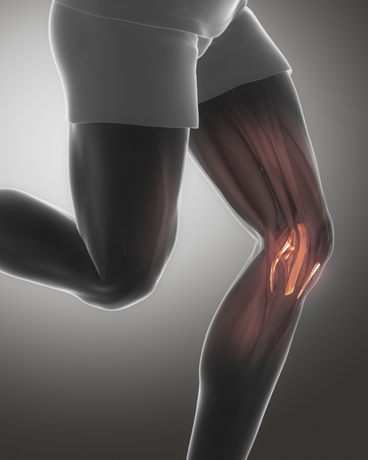 Computer-generated image of a running leg with a focus on the knee joint, showing the bones and ligaments in the knee.