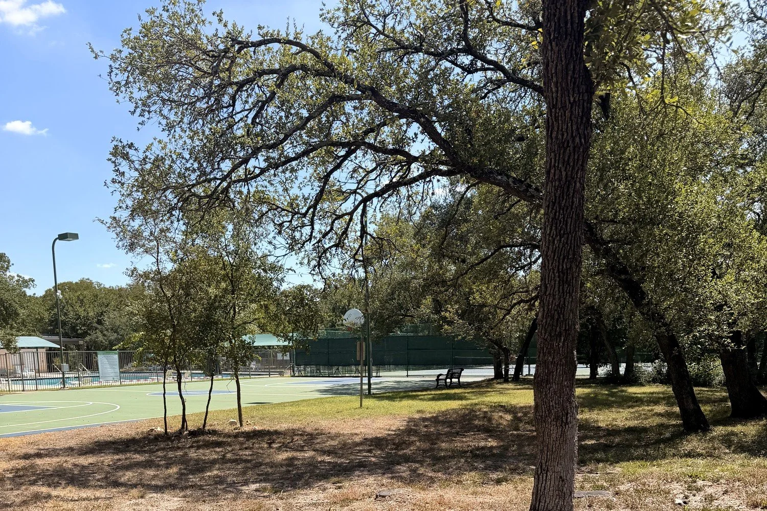 a park with trees and a basketball court and a pool in the background
