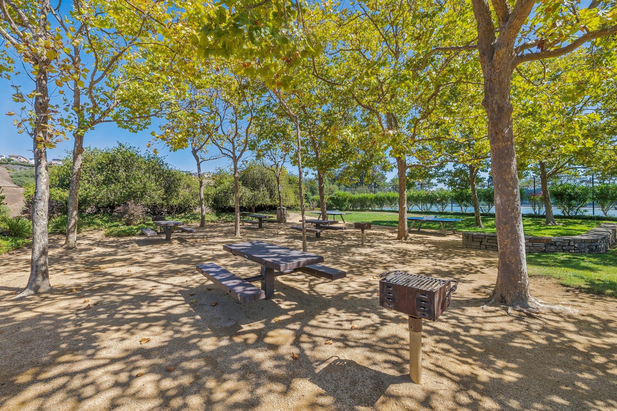 A park with multiple trees casting shadows on the sandy ground, picnic tables, bushes, a fence, and a view of houses on a hill in the background on a sunny day.