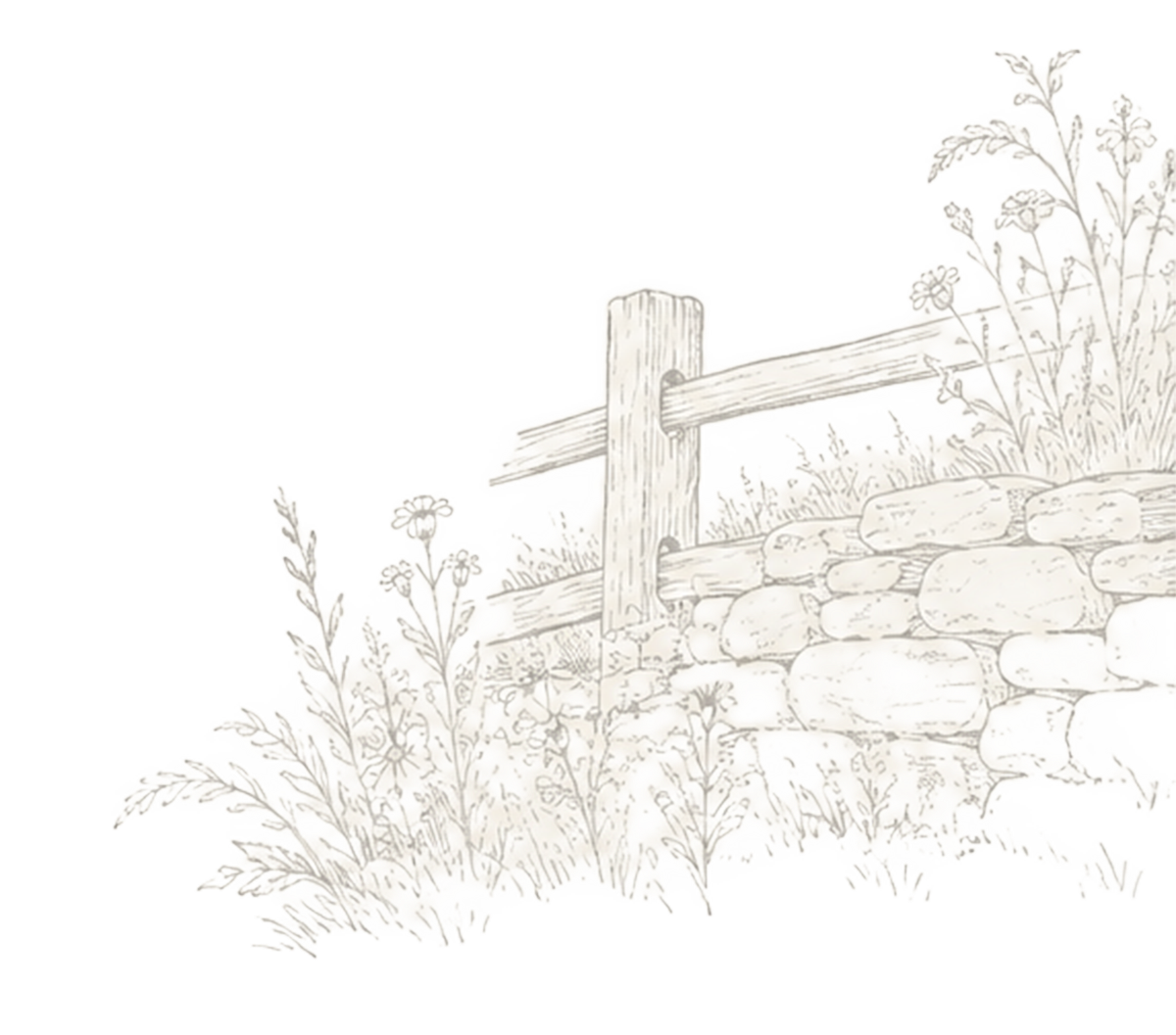 Line drawing of a small garden with wildflowers and plants, a wooden fence, and a stone wall.
