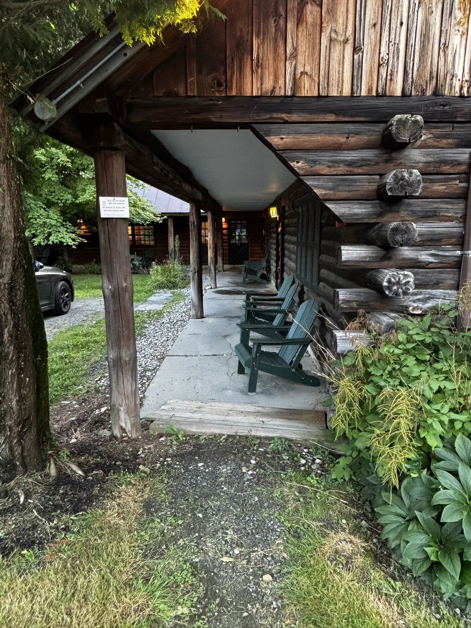 Covered porch area of a wooden cabin with green chairs, surrounded by greenery including bushes and trees, and a gravel driveway on the left side.