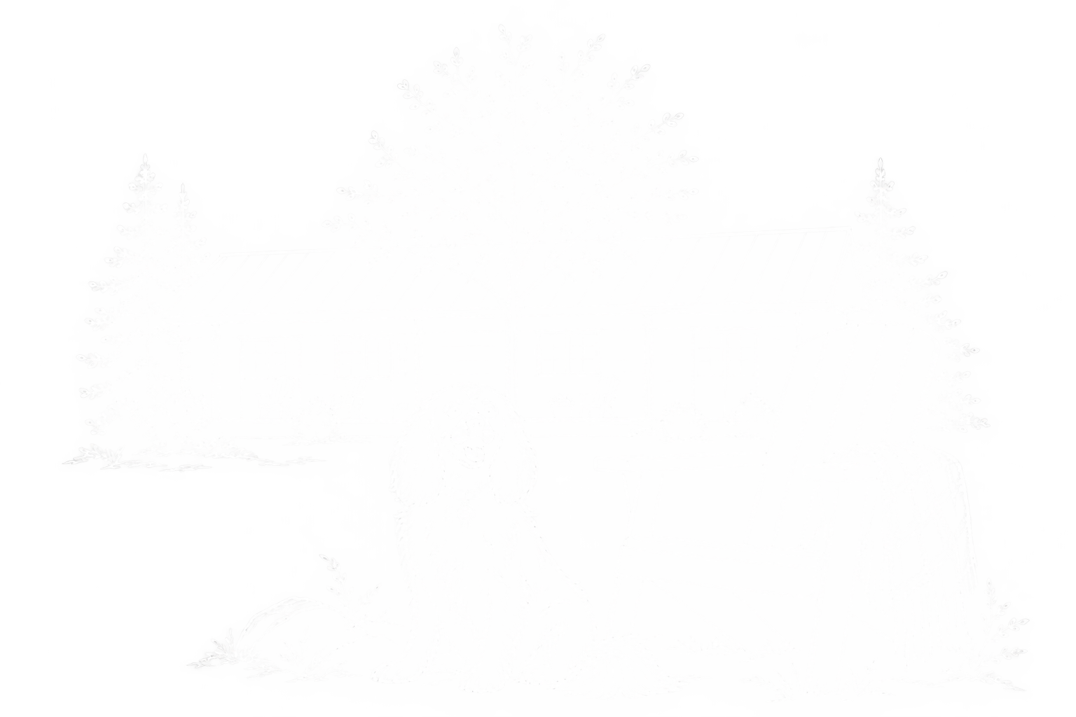A festive outdoor scene with decorated Christmas trees and possibly a house or building with holiday lights in the background.