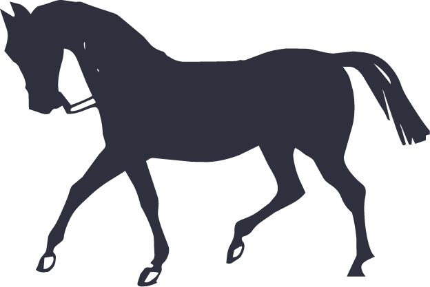 Silhouette of a walk walking horse with a raised front leg.