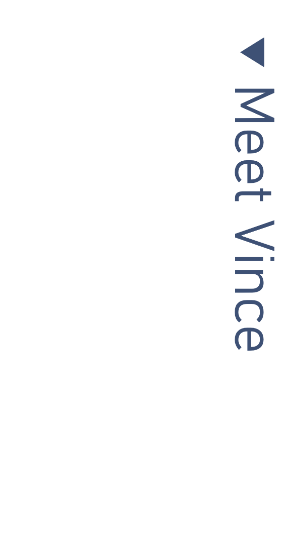 A vertical slide with a blue arrow at the top, and the text "Meet Vinca" written vertically in large font.