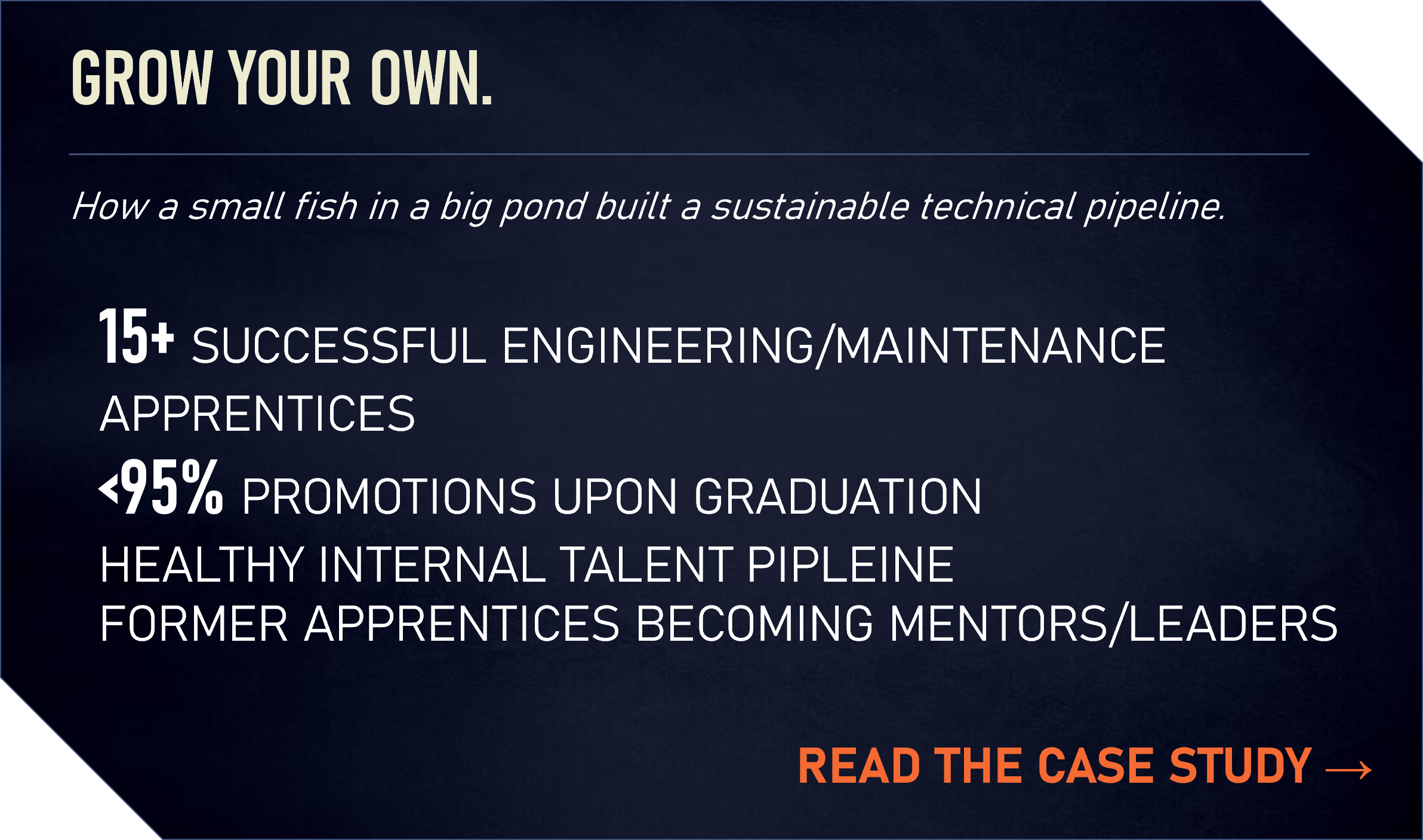 A promotional slide with the headline 'Grow Your Own' in large white text. Subheading mentions a small fish in a pond building a sustainable pipeline. The slide lists statistics about apprenticeships, promotions, and internal talent, with a call-to-action in orange text says 'Read the Case Study' and an arrow icon.