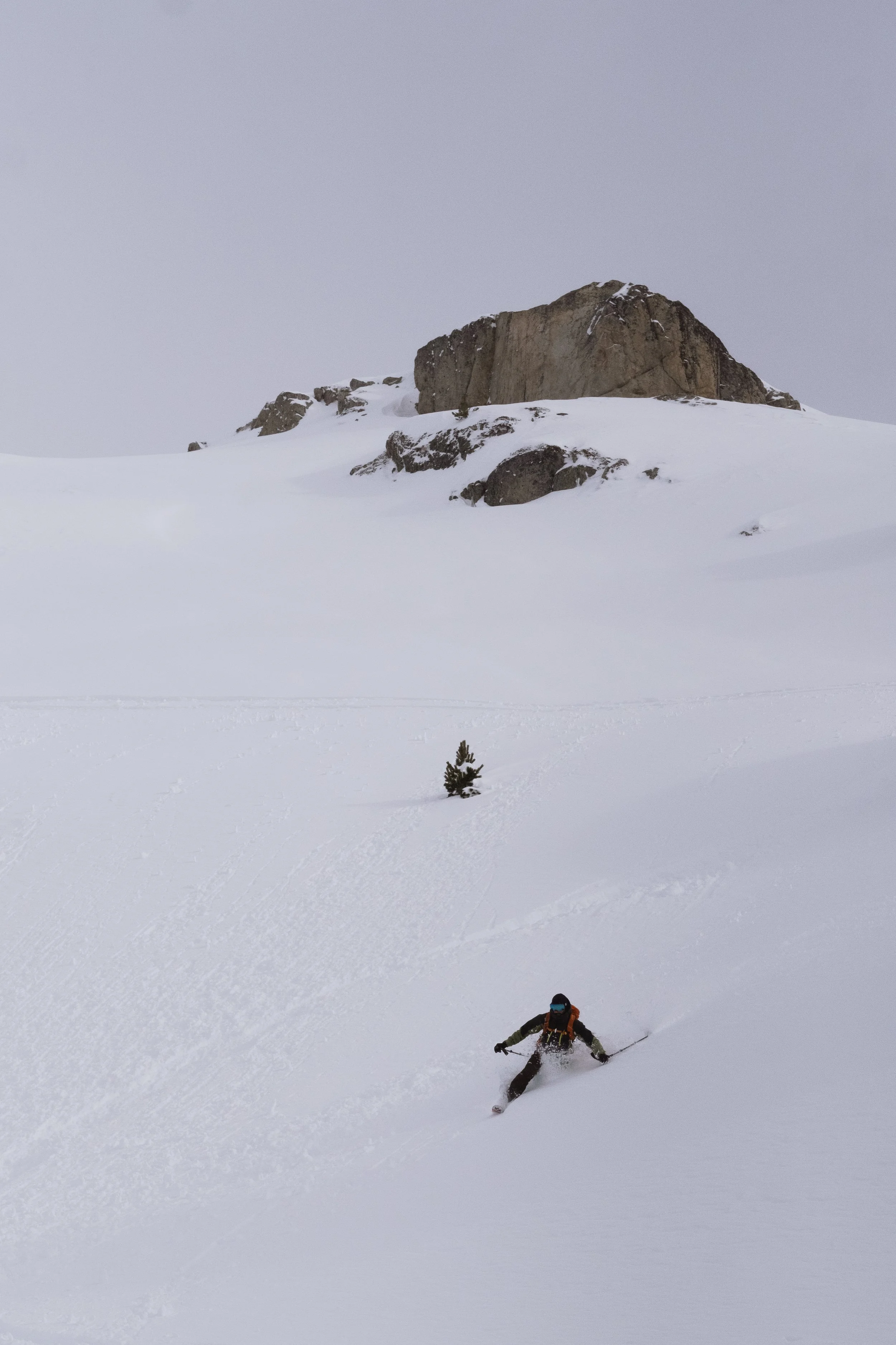 DSCF6454.jpg