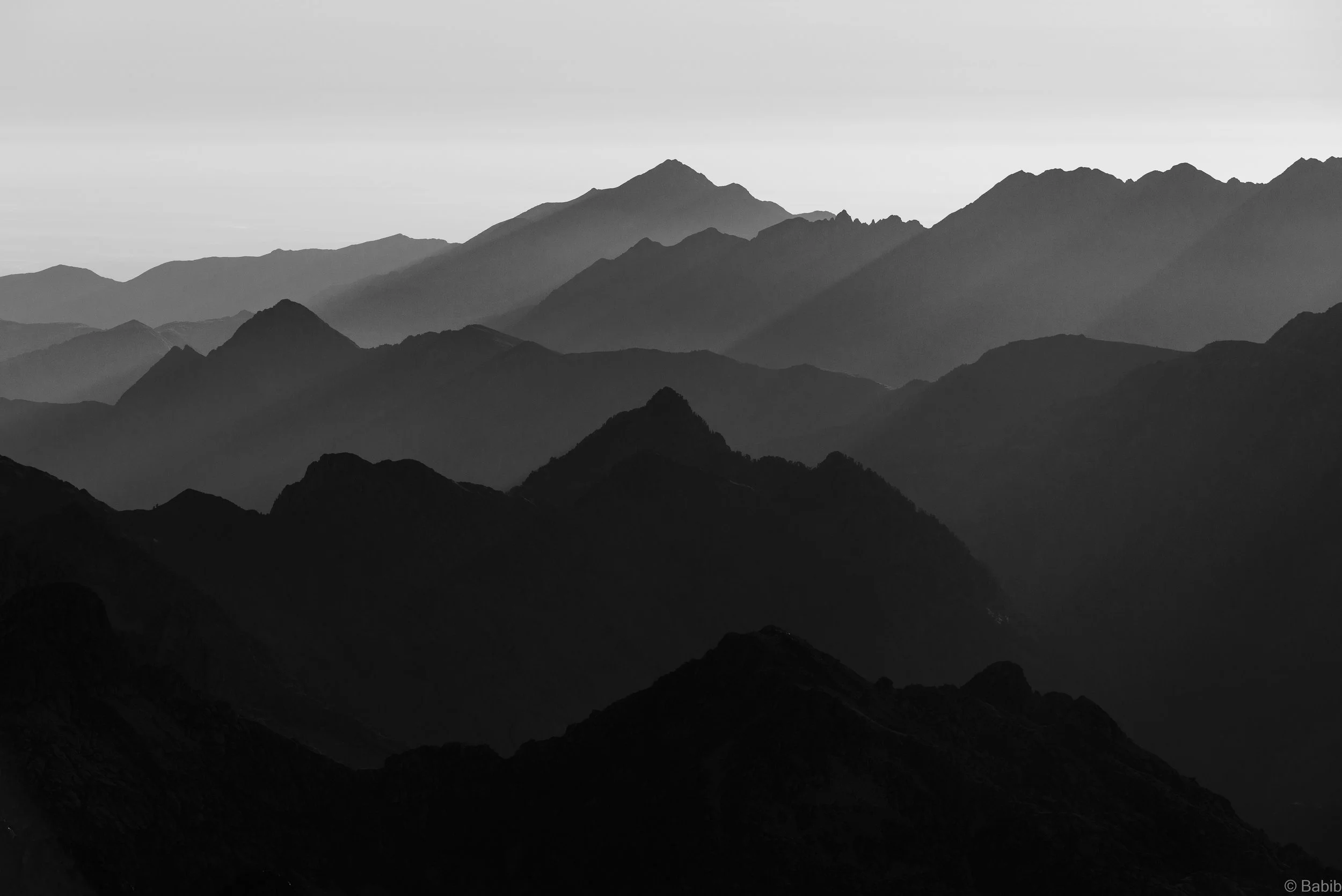 _6006946.jpg