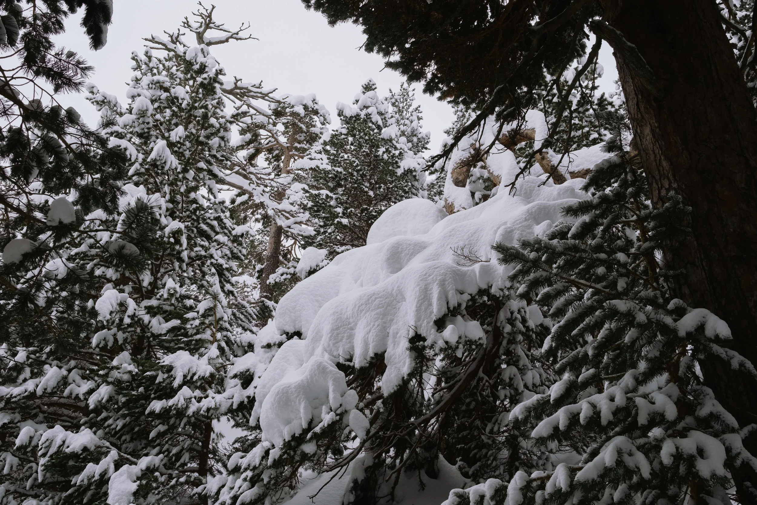 DSCF6372.jpg
