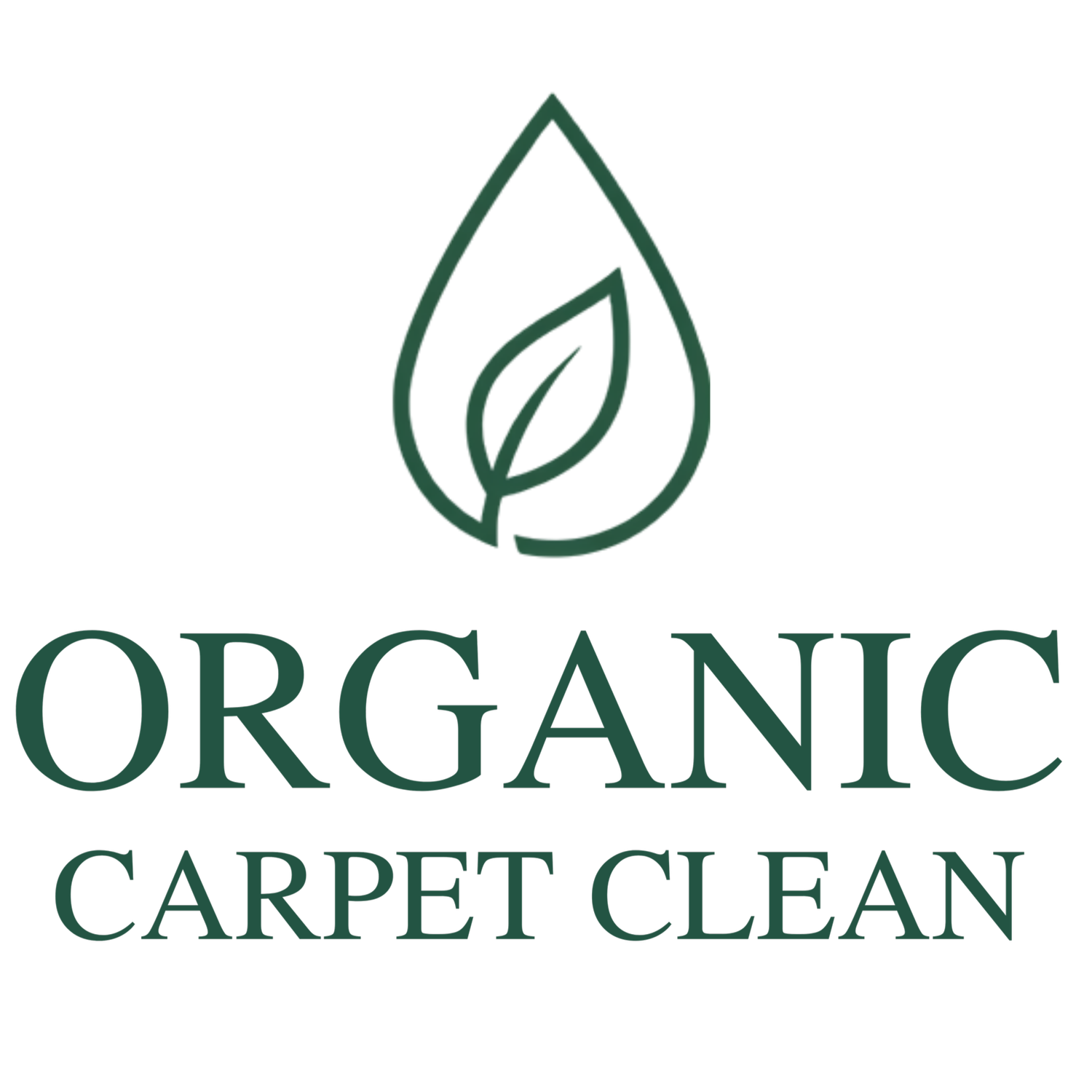 ORGANIC CARPET CLEAN 
