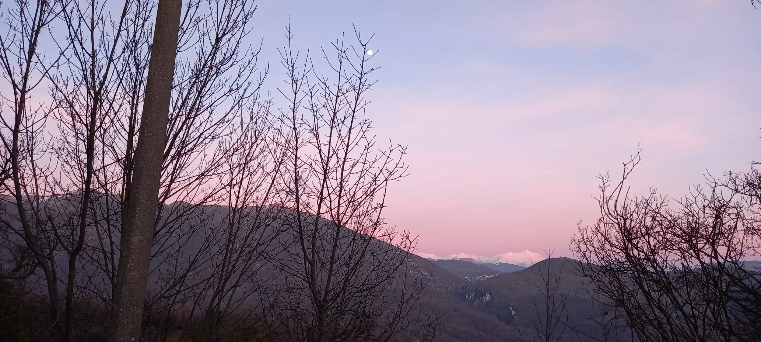 Bare trees on a hillside with a mountain range in the background, pink and purple sky with a visible moon in the early evening or dawn.