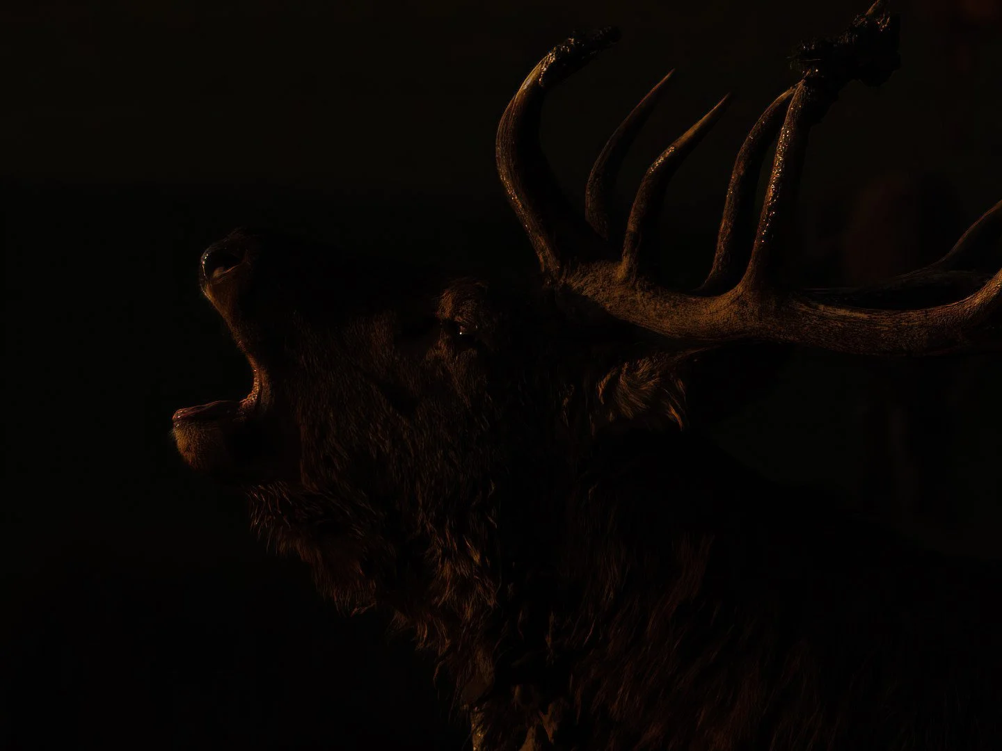 Un cerf avec des bois imposants dans une faible lumière.