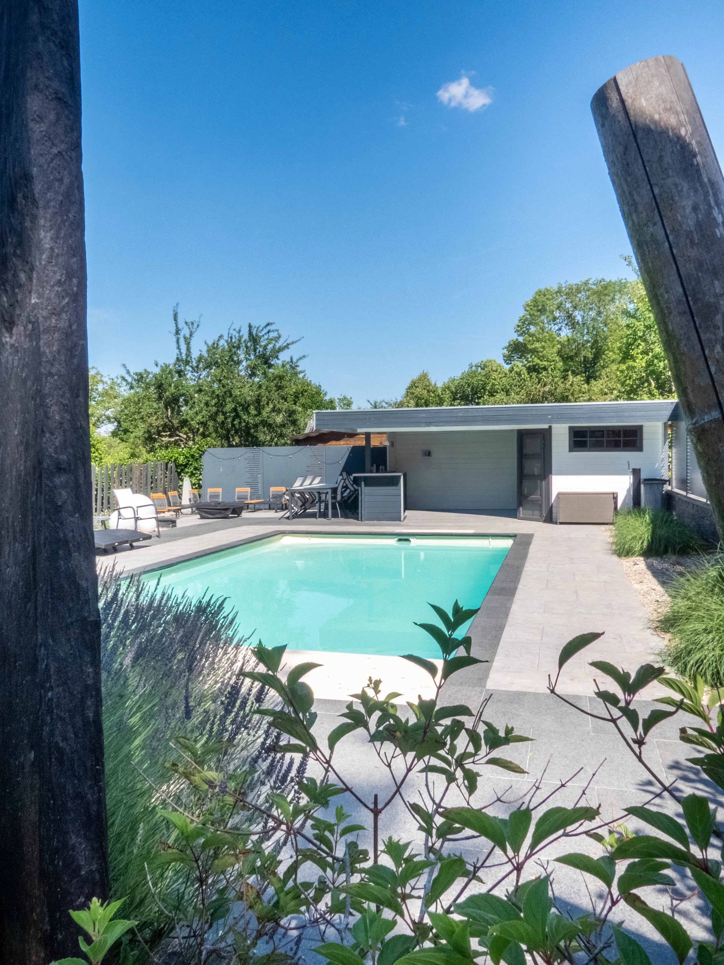 Piscine extérieure entourée de mobilier de jardin, bâtiment blanc avec porte, arbres verts et ciel bleu en arrière-plan, vus à travers des branches de plantes et un poteau en bois.