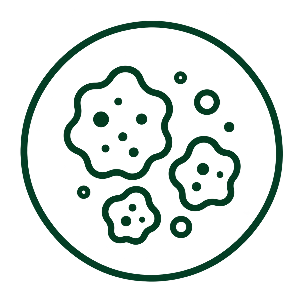 Mold Toxicity Test