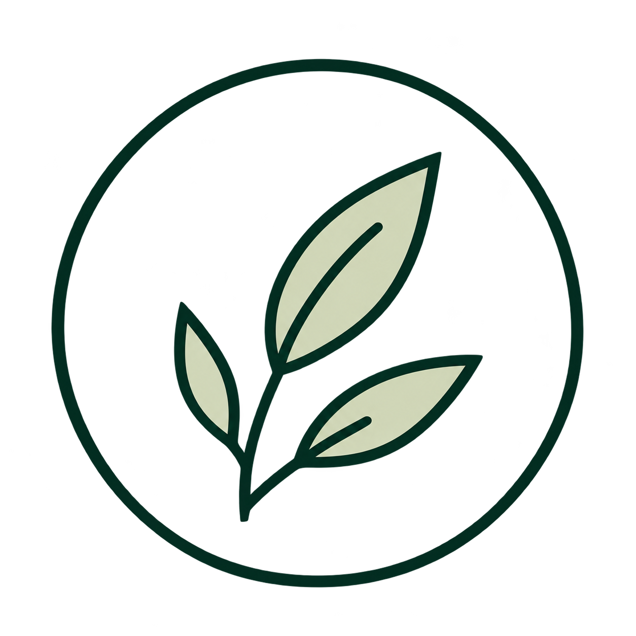 Leaf icon representing a foundational approach to health and wellness.