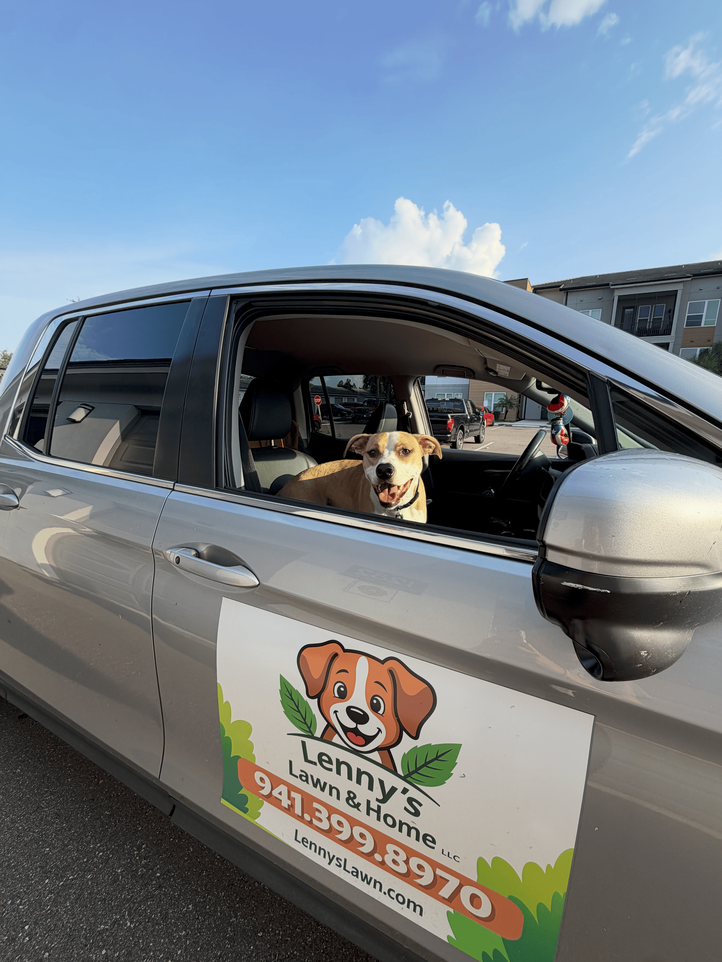 A dog sitting inside a silver car with a poster on the side of the car advertising Lenny's Lawn & Home, with a phone number and website. The car window is rolled down, and the dog has a happy expression. The background shows a parking lot with other vehicles and a residential building under a partly cloudy sky.