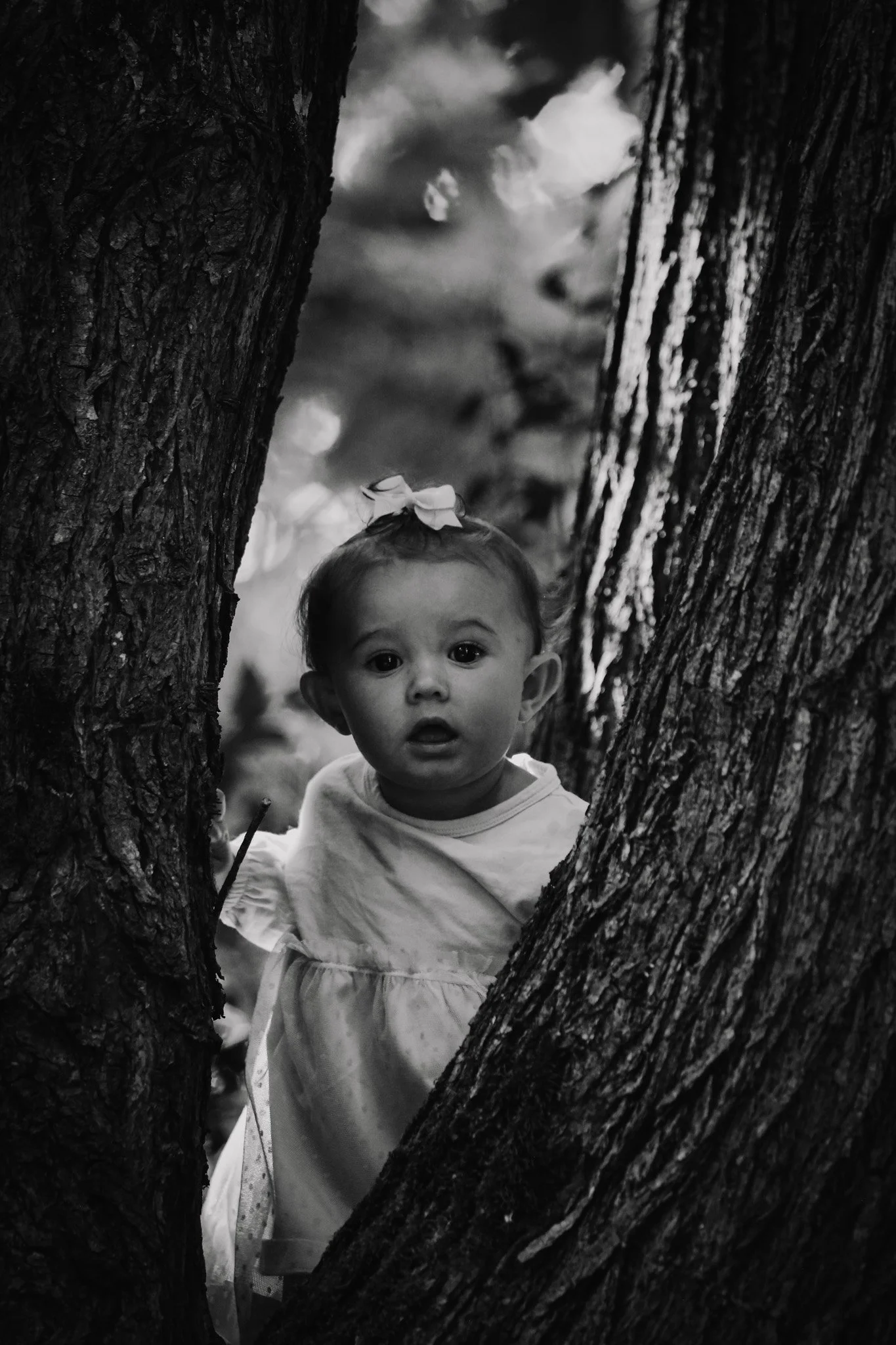 Une jeune fille regarde à travers un arbre avec un regard surpris ou curieux.