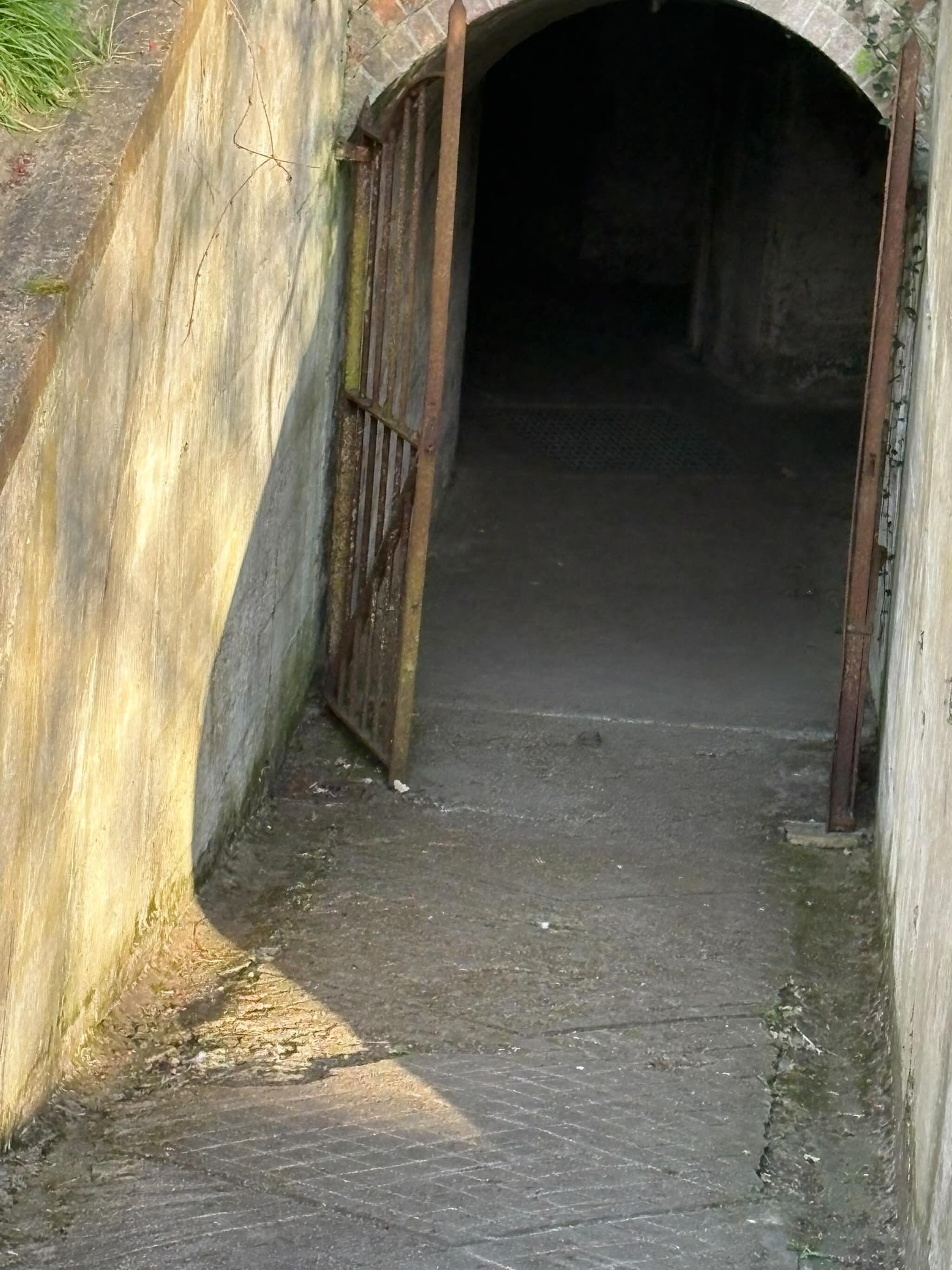 #Paranormal #TruthsCollective