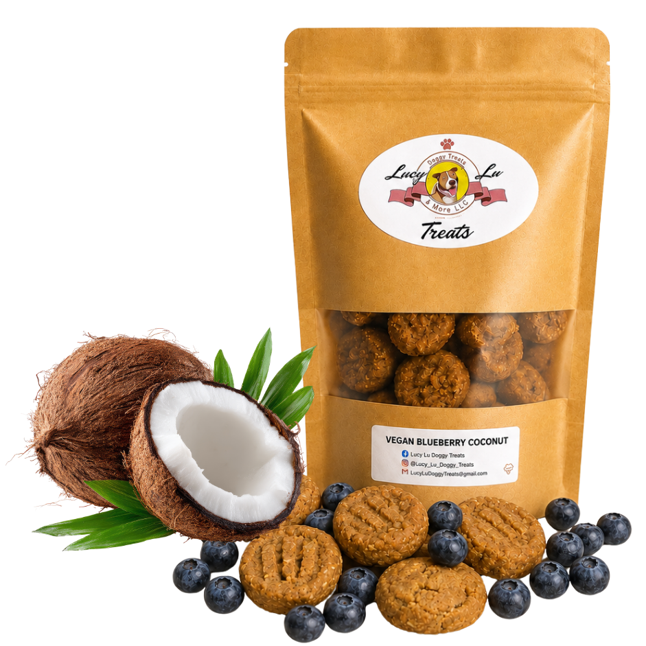 Vegan Blueberry Coconut