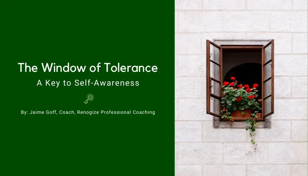 The Window of Tolerance: A Key to Self-Awareness