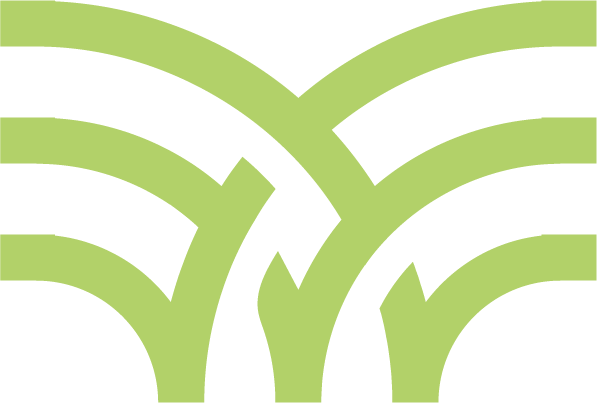 Abstract green and white curved lines forming a symmetrical pattern.