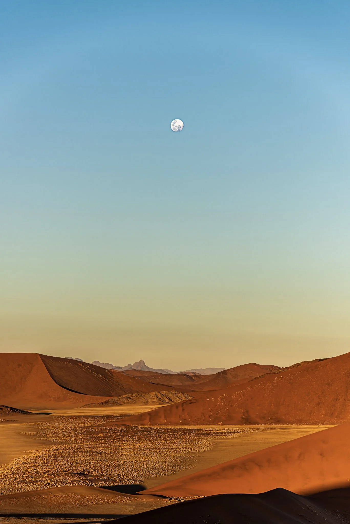 Landscapes