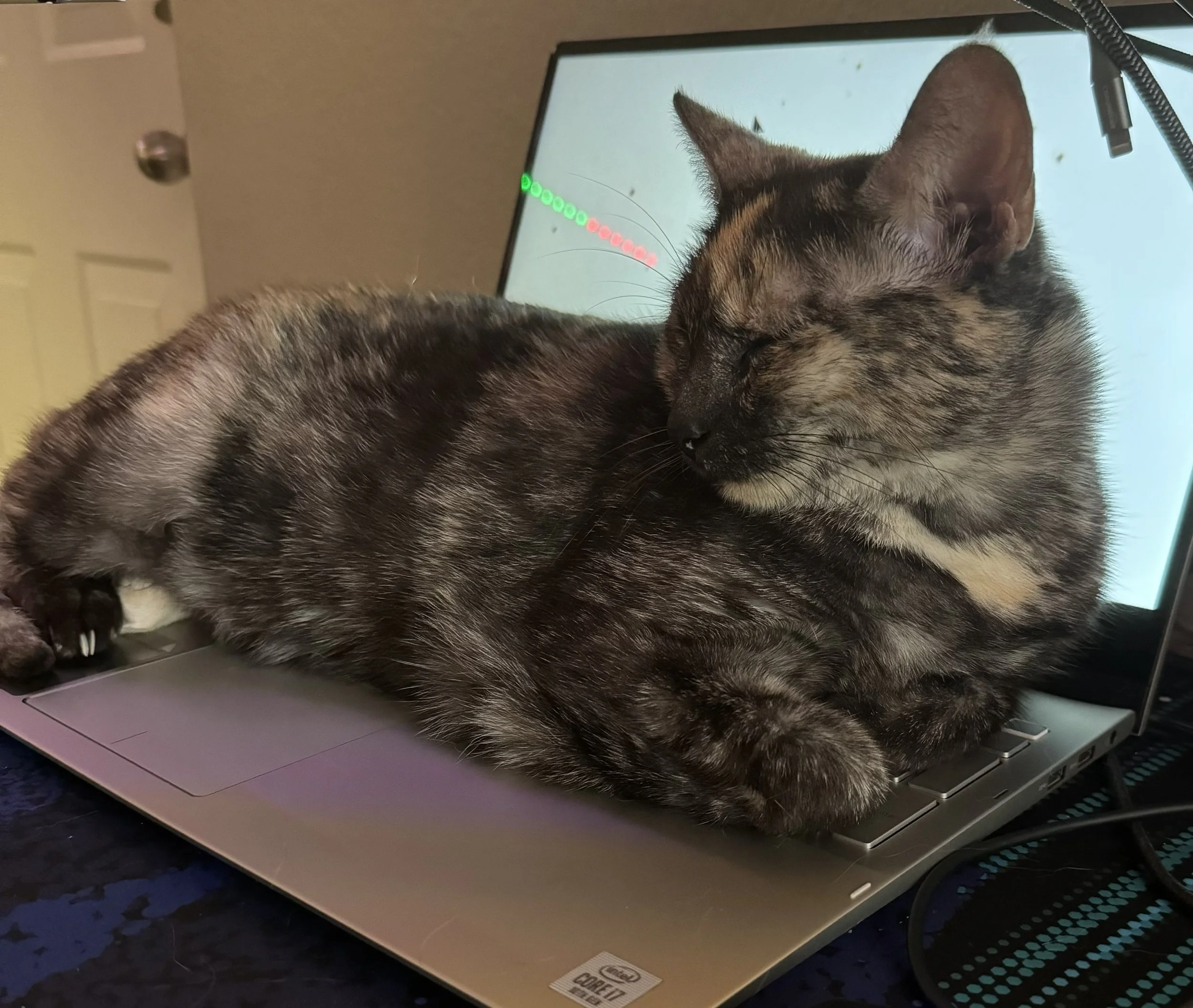 A close-up of a sleeping tabby cat with closed eyes, lying on a laptop keyboard with its front paw stretched out over the keys.