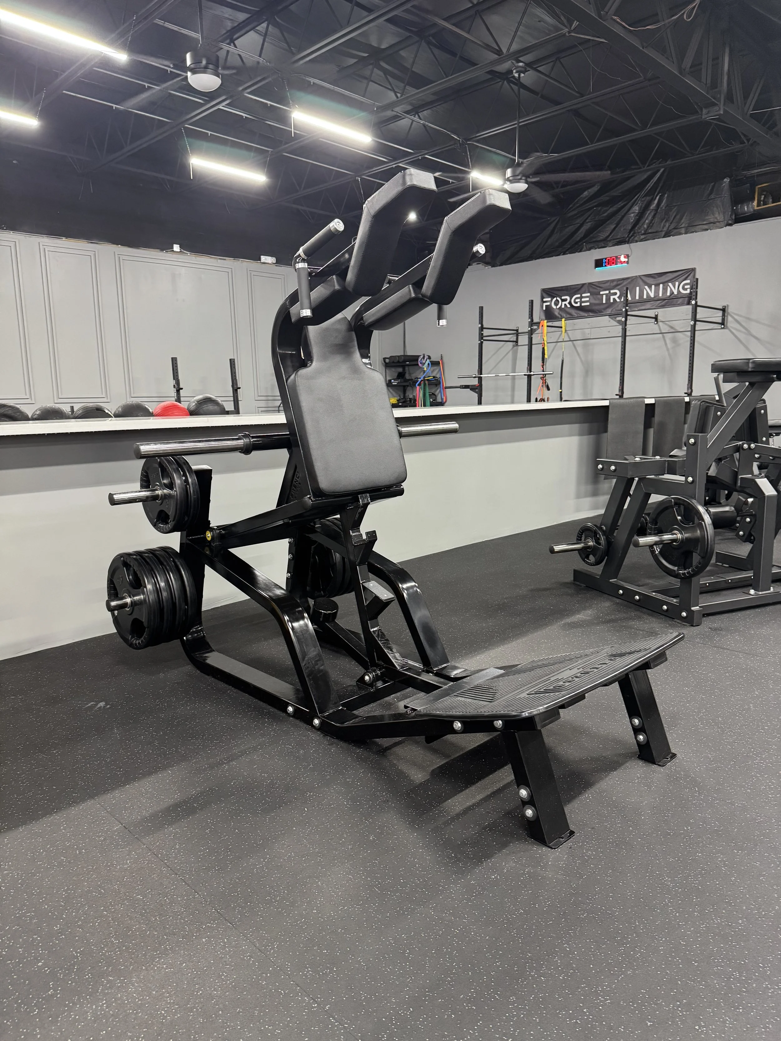 V-Squat