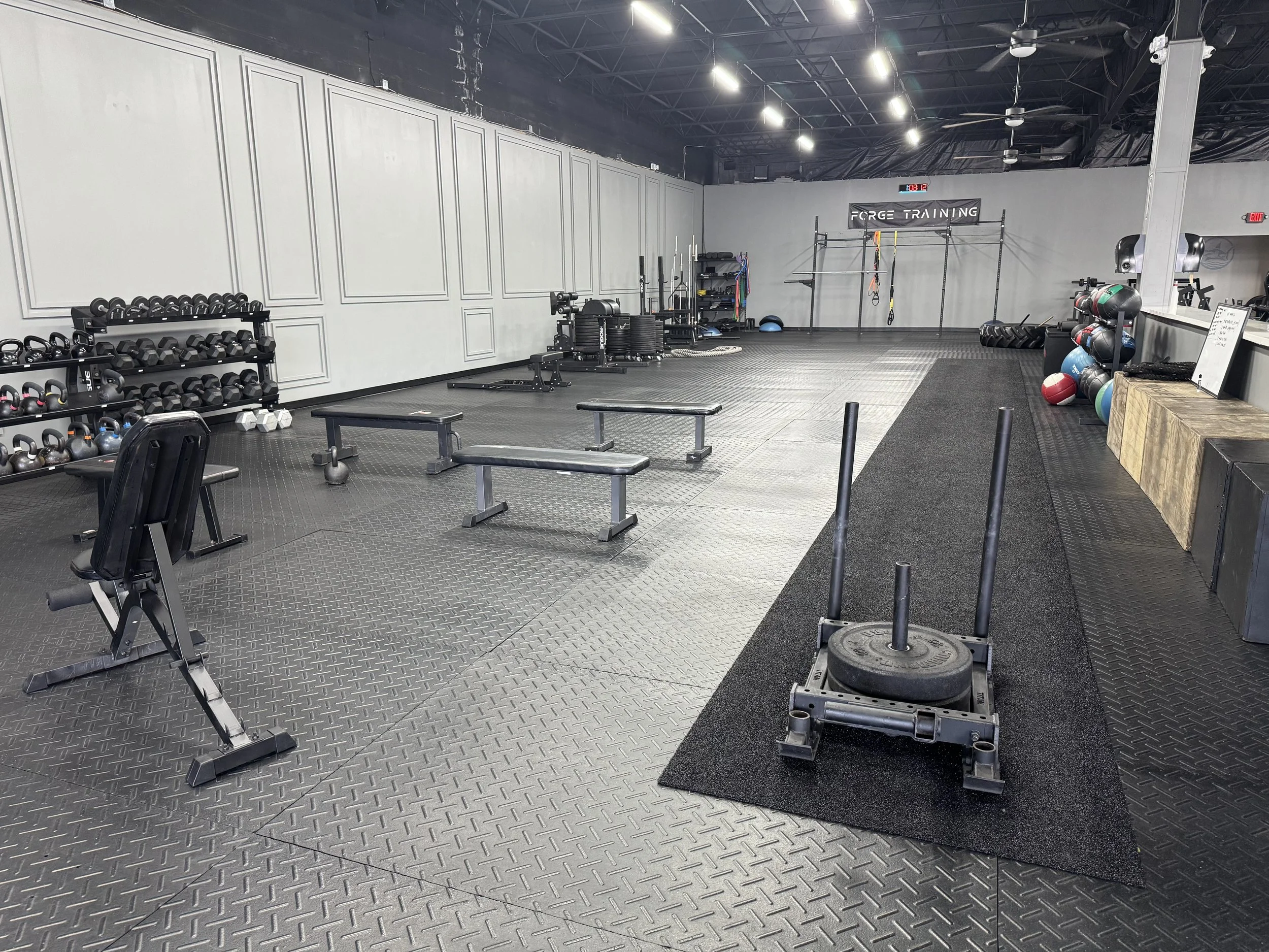 Functional area with turf