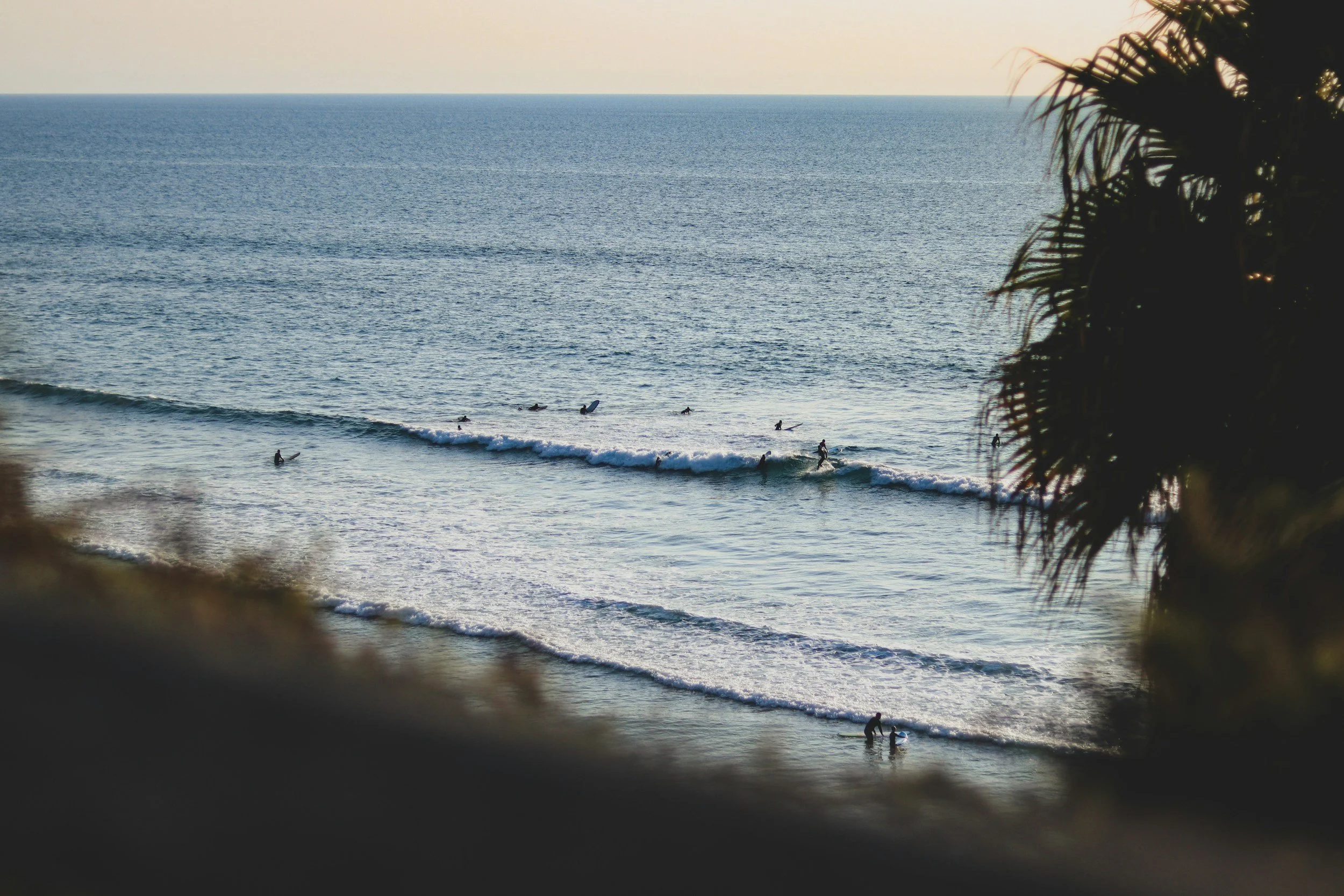 View of the ocean with multiple surfers riding the waves, framed by palm tree branches on the right side.